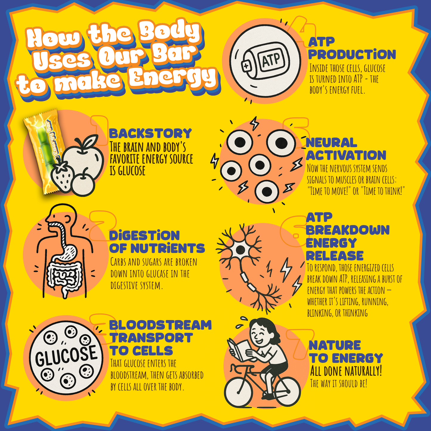 Educational infographic about how the body uses glucose to make energy on a yellow background.
